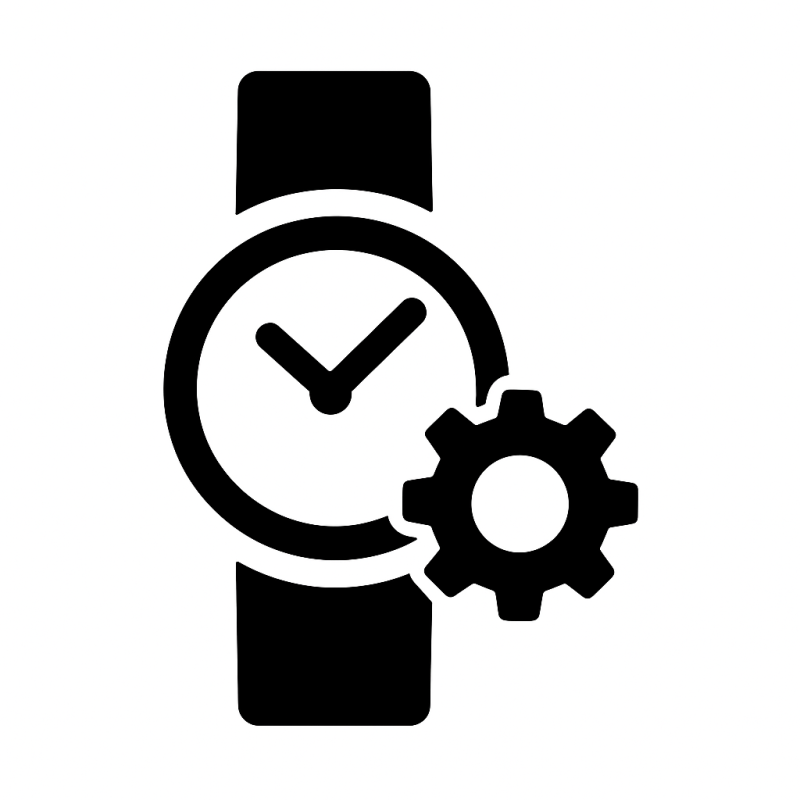 Przemysł zegarkowy / mikromechanika