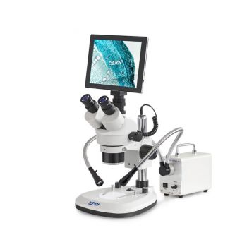 tablet-kern-z-mikroskopem
