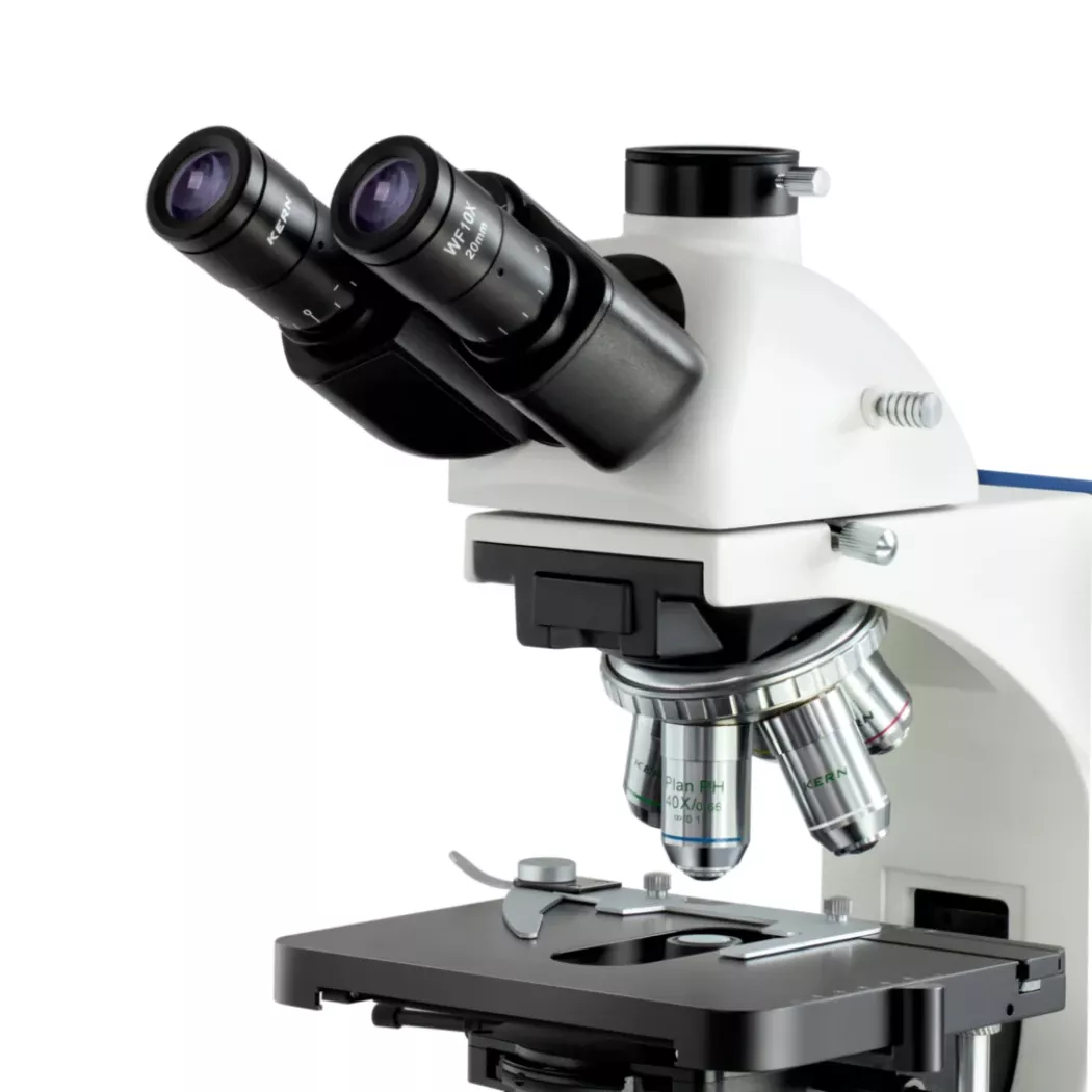 Okulary i&nbsp;głowica mikroskopu KERN OBN – widok z&nbsp;góry