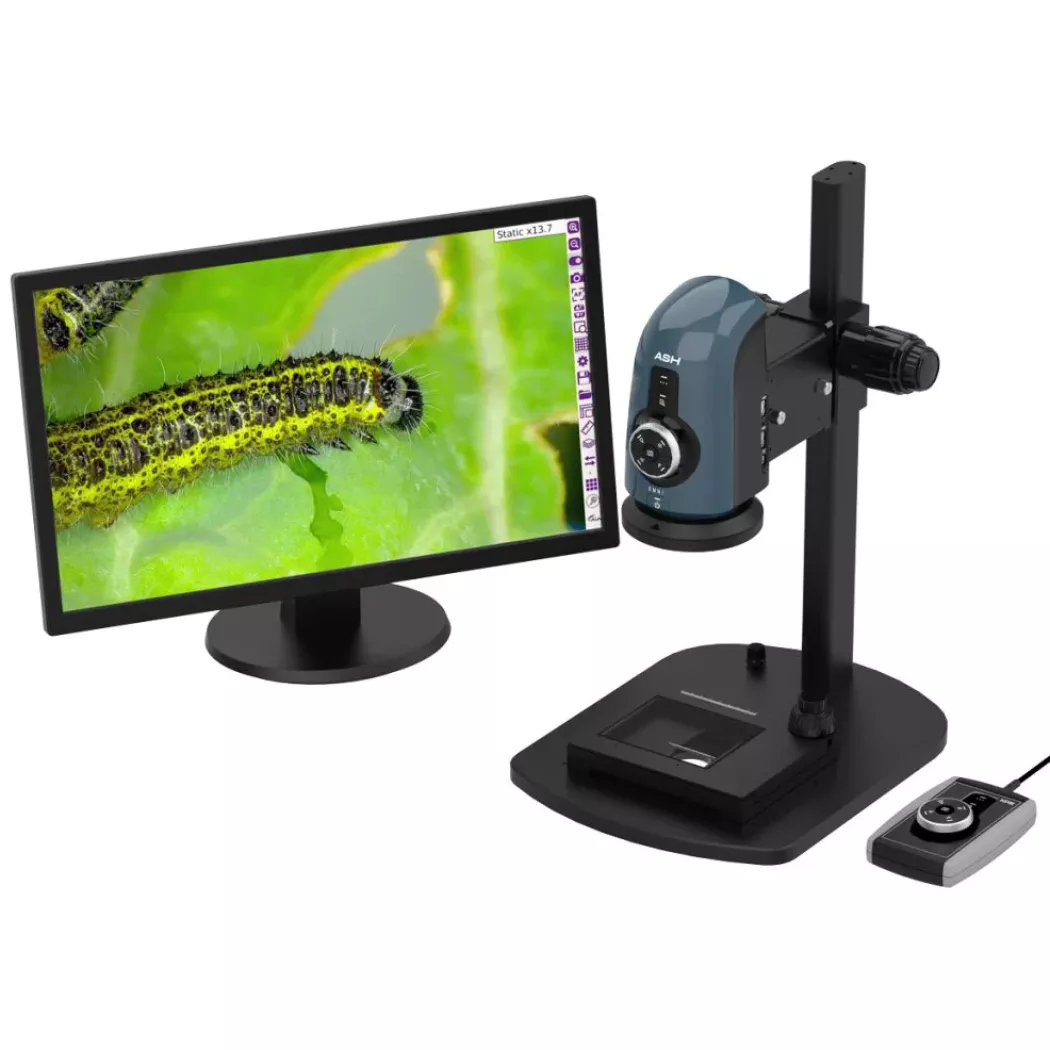 Omni 3 mikroskop cyfrowy z&nbsp;obrazem larwy owada na monitorze