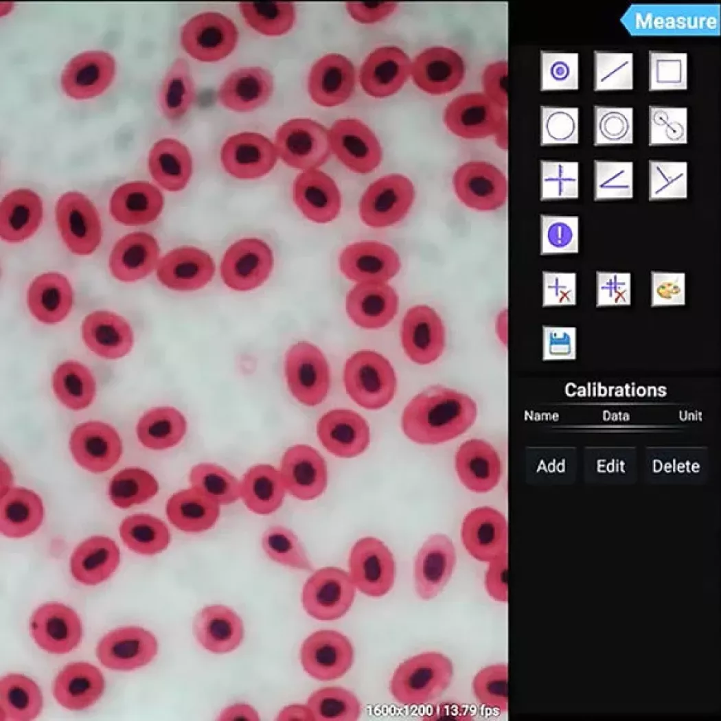 Interfejs oprogramowania mikroskopowego KERN ODC 241 z&nbsp;funkcjami pomiaru i&nbsp;analizy obrazu